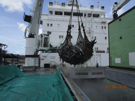 SSUN CARGO2020_04.JPG SSUN CARGO2020_04.JPG